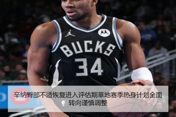 辛纳臀部不适恢复进入评估期草地赛季热身计划全面转向谨慎调整